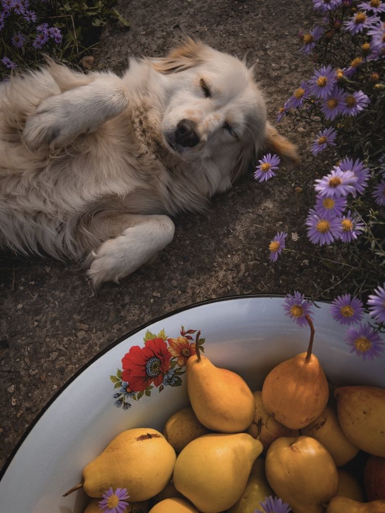 Photograph by Polina