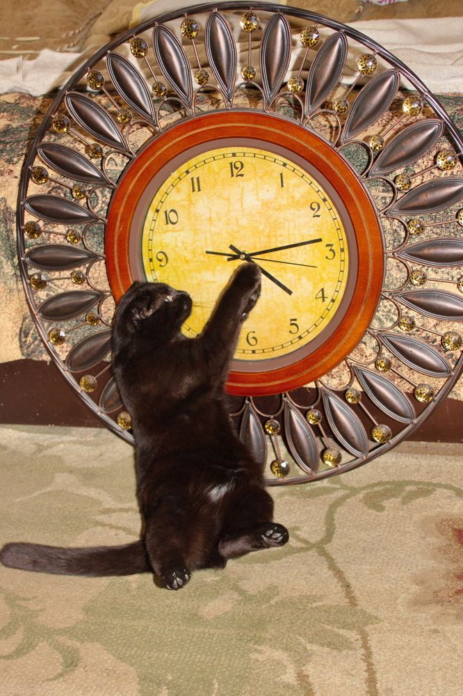 Photograph by Марина