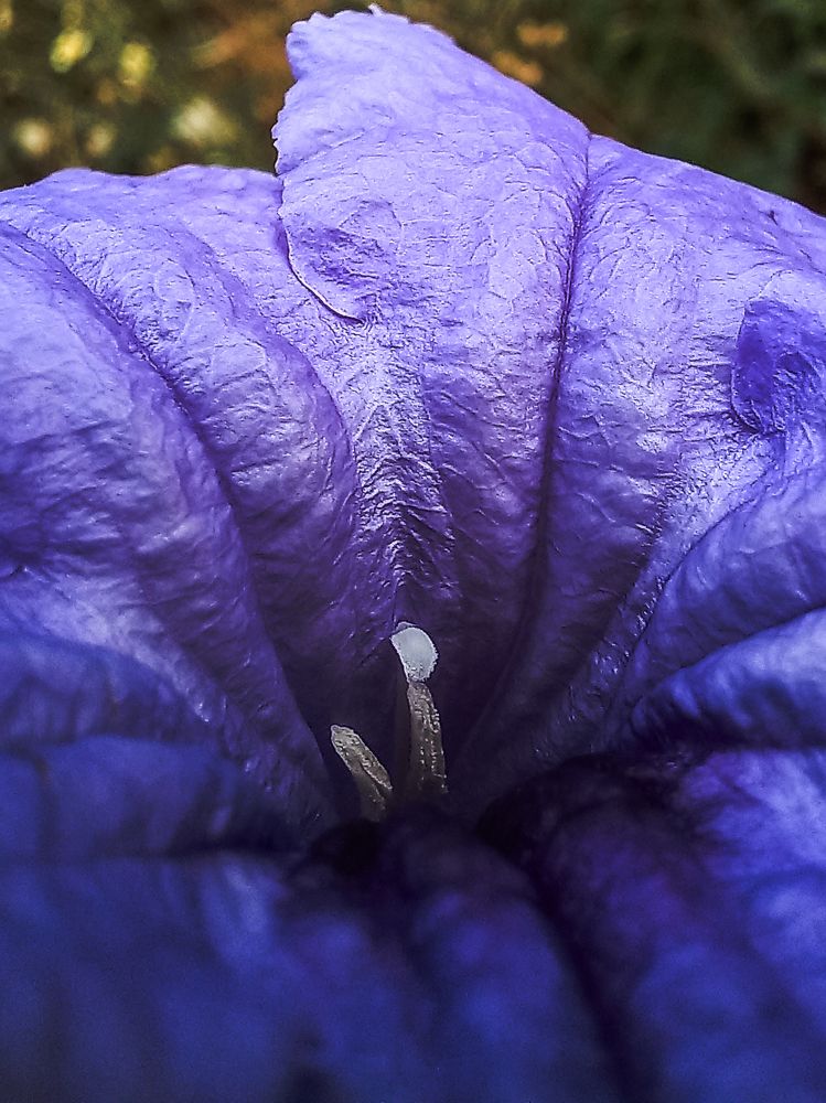 Photograph by Pujo Cahyono