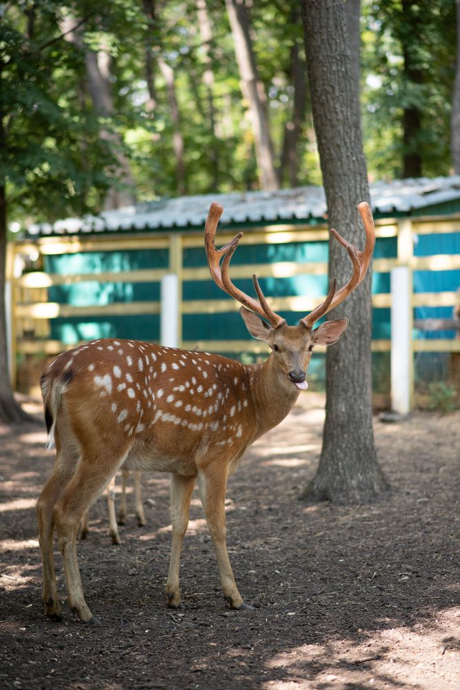 Photograph by Оксана Смирнова