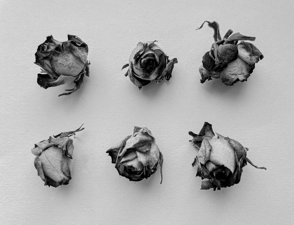 Photograph by Сергей Кутьин