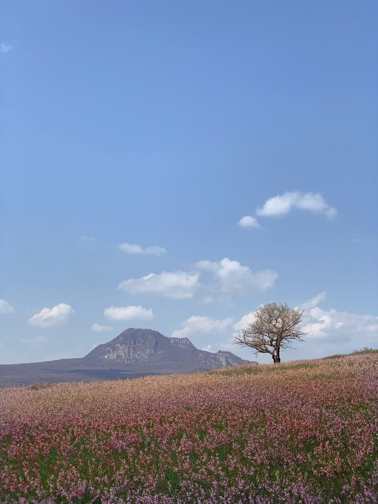 Photograph by Мария Алейникова