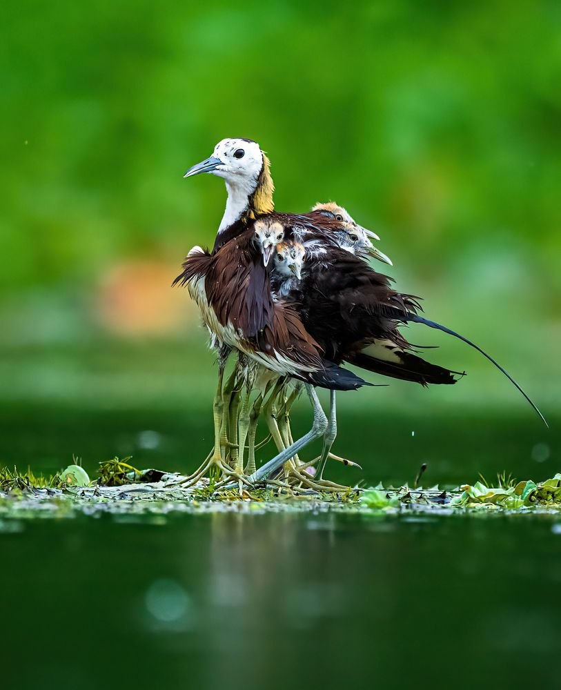 The saffest place on the earth