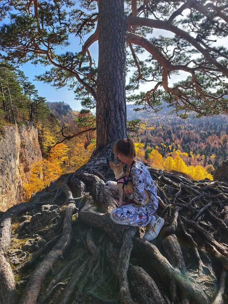 Photograph by Юлия Коробкова