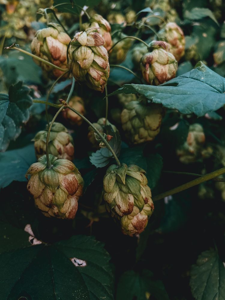 Фотография автора Oksana Yurasova