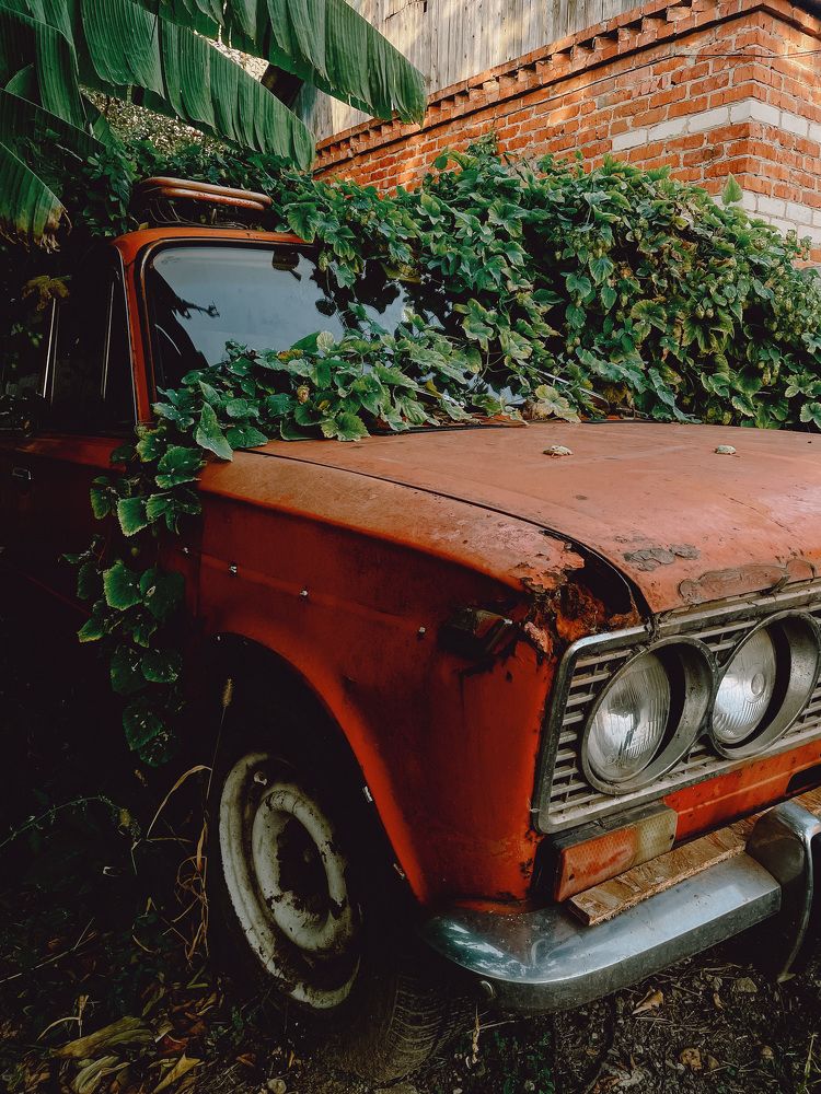 Фотография автора Oksana Yurasova