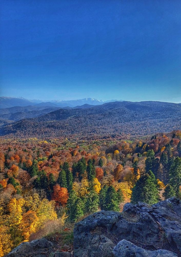 Photograph by Юлия Коробкова