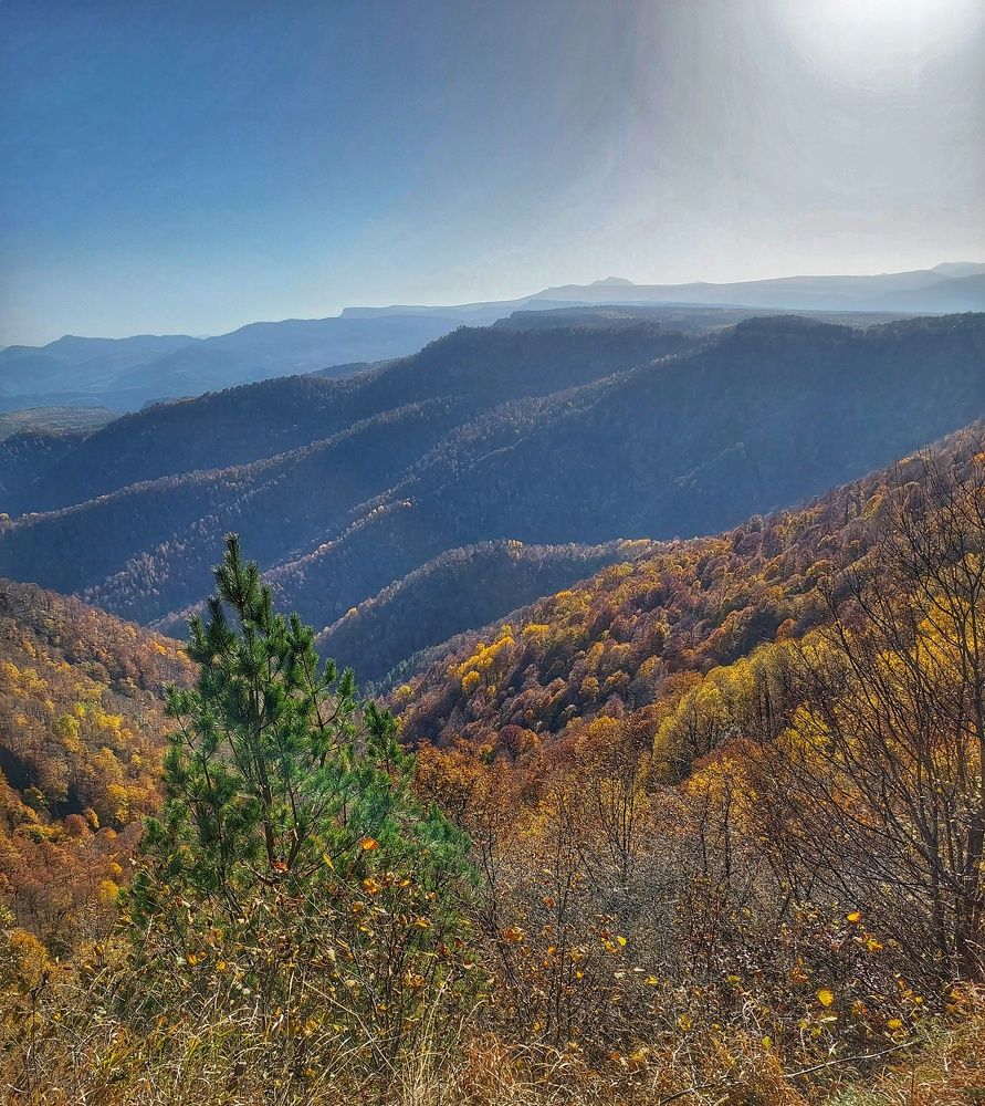 Photograph by Юлия Коробкова