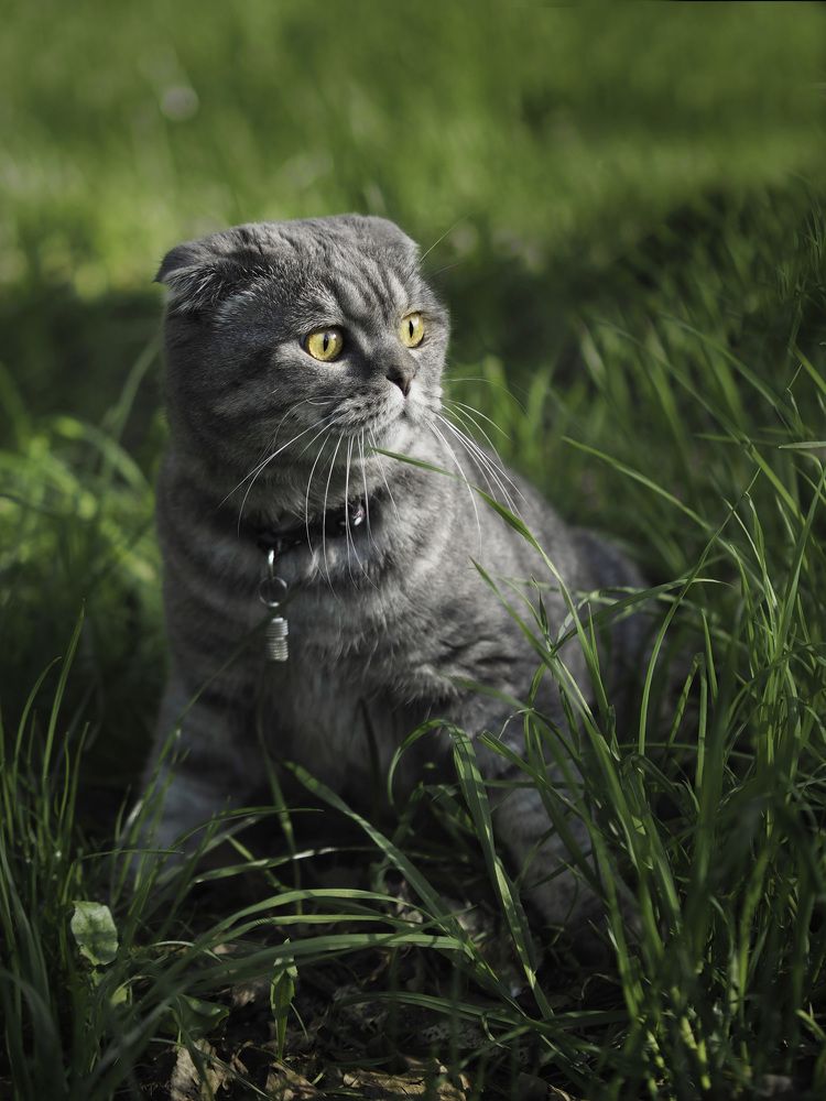 Photograph by Виктория   Никонова