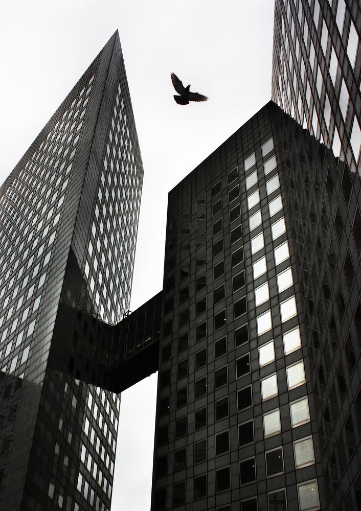 Фотография автора Наталья Белова