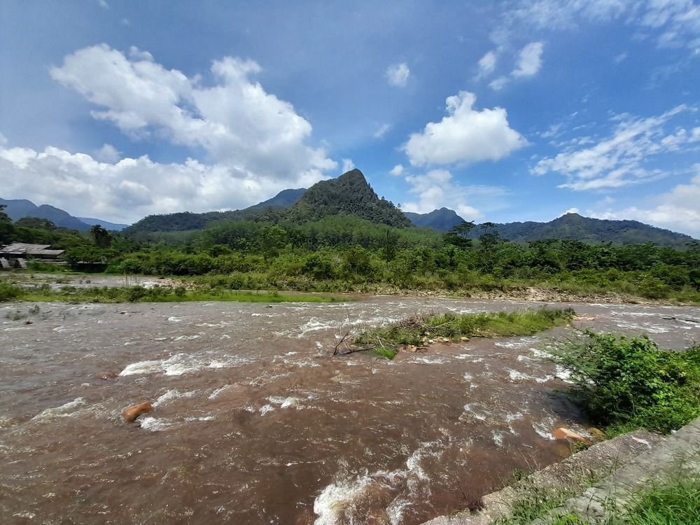 Фотография автора Zulfa