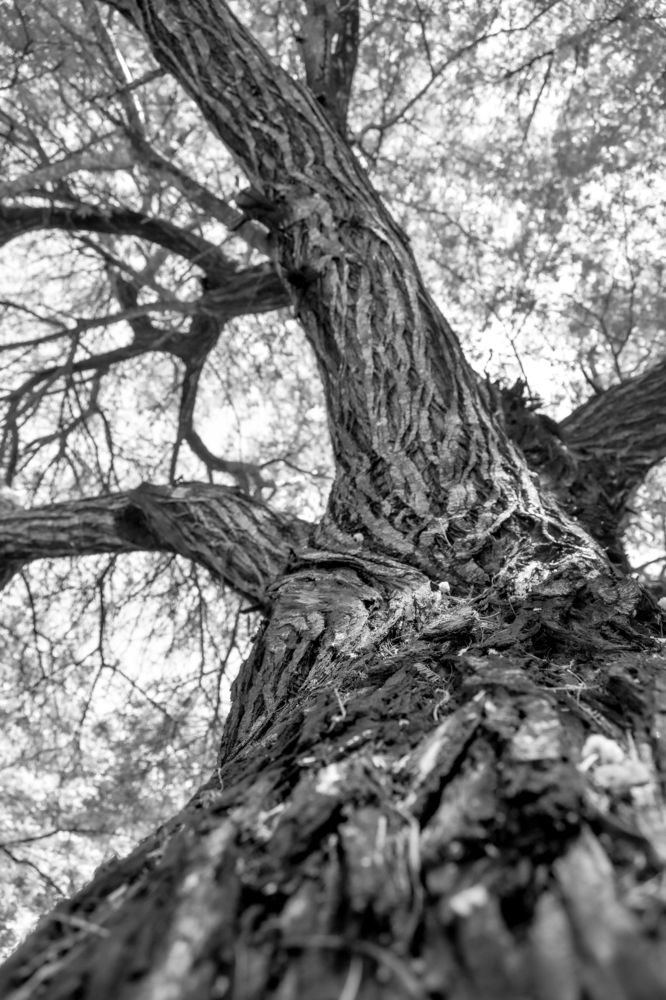 Photograph by Nurhildayati