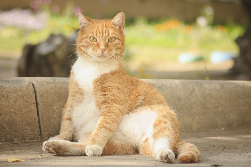 Photograph by Сергей Захаров