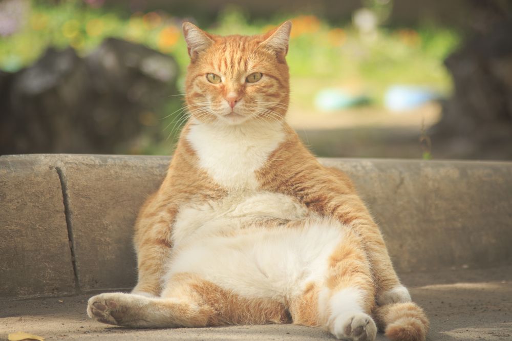 Photograph by Сергей Захаров