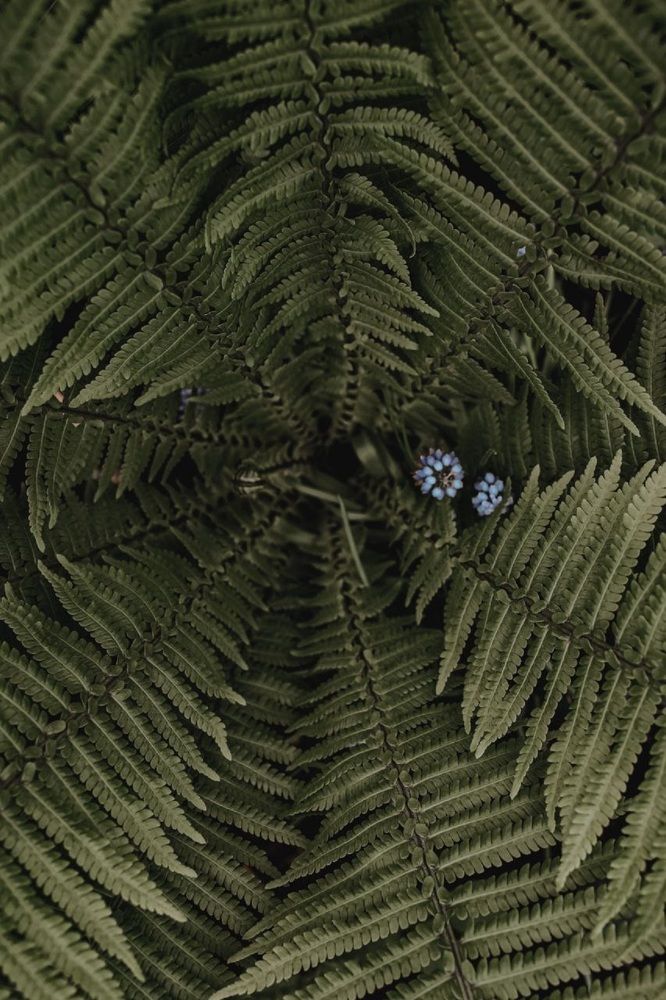 Фотография автора Марина Шигина