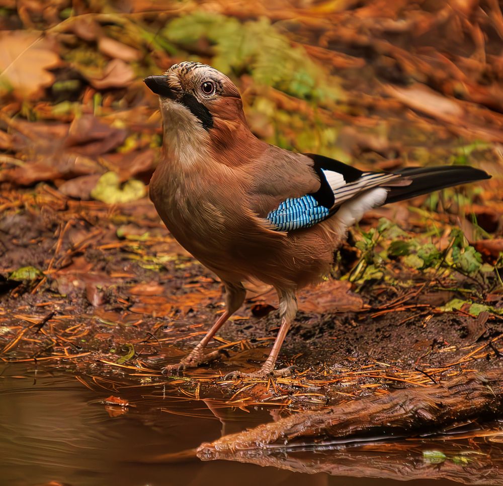 Photograph by Просто Виноград