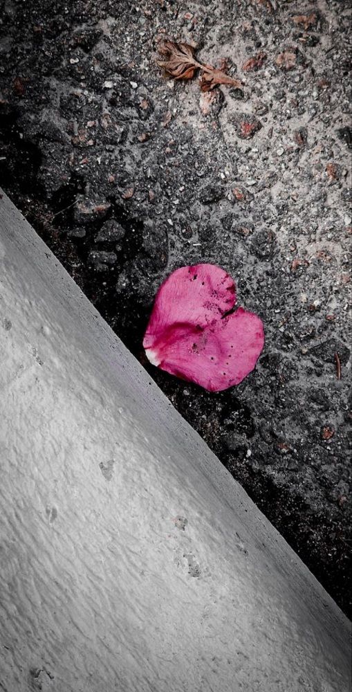 Фотография автора Марина Шигина