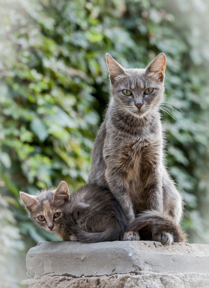 Photograph by Sergey Fomenko