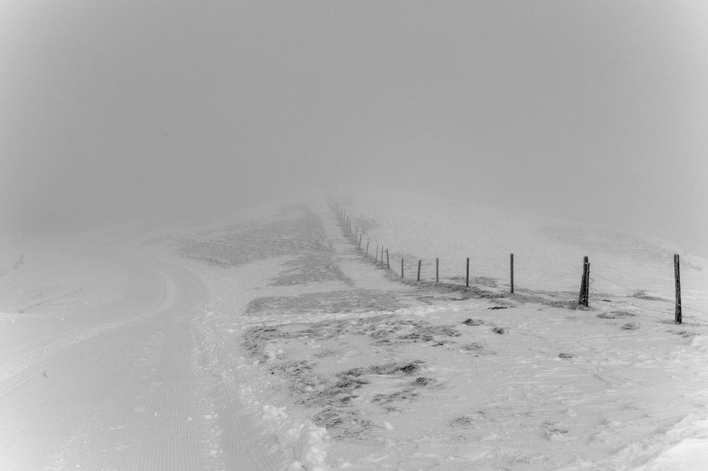 Photograph by Михаил