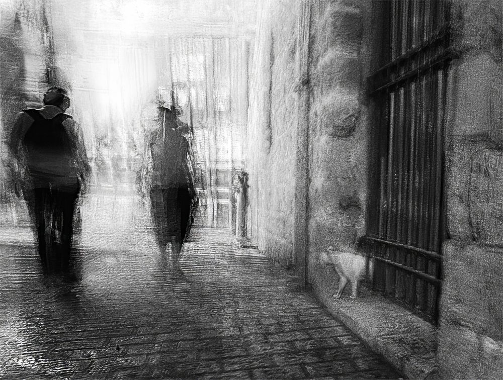 Photograph by Геннадий Васенков