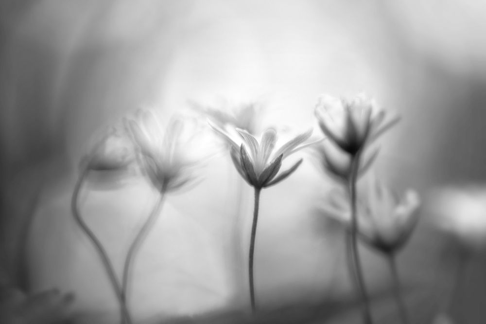 Photograph by Виктория Нарчук