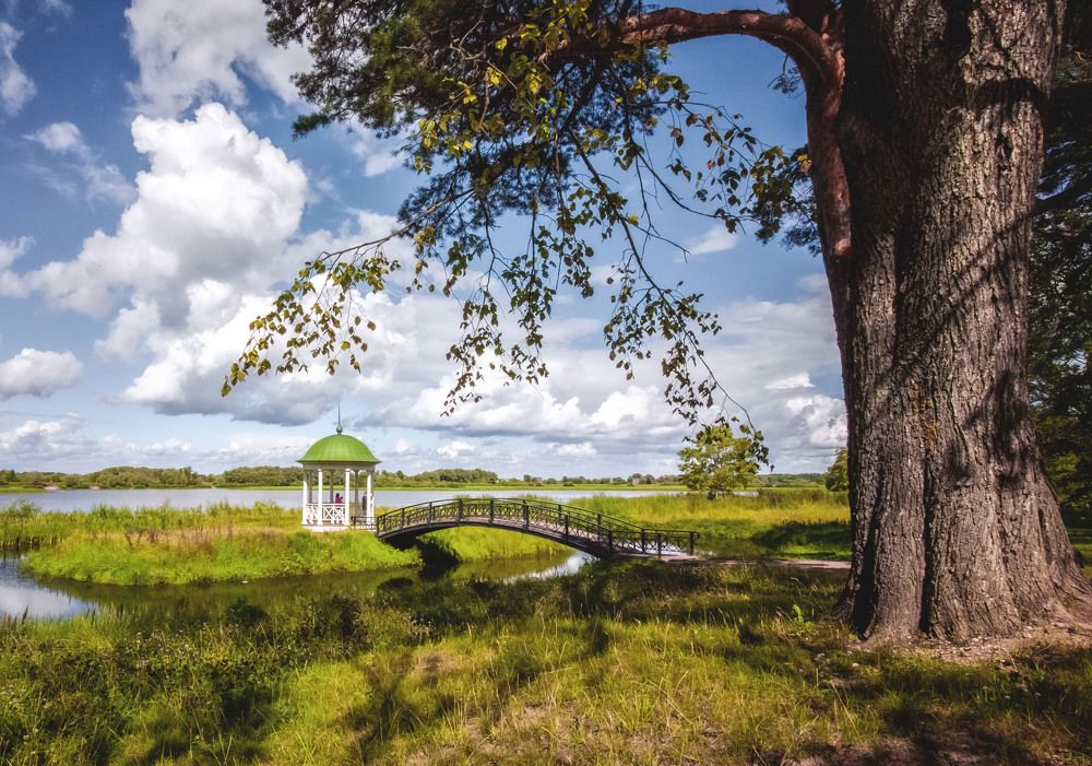 Photograph by Константин Лившиц