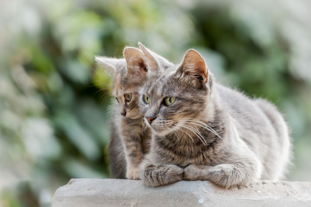 Photograph by Sergey Fomenko