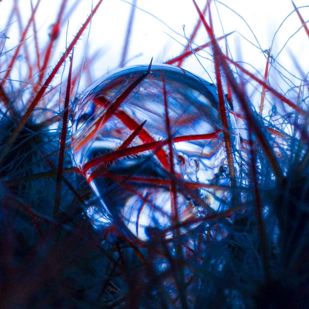 Photograph by Дмитрий Потапов