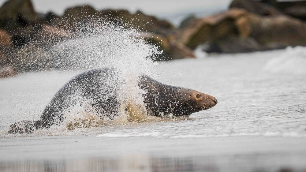 Photograph by Logeswaranathan Mohanaraj