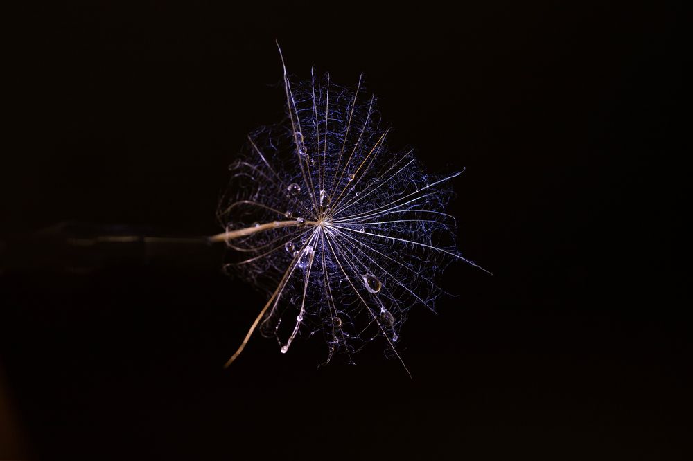 Photograph by Олег Крец