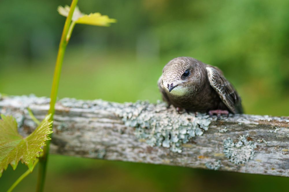 Photograph by Андрей Валерьевич
