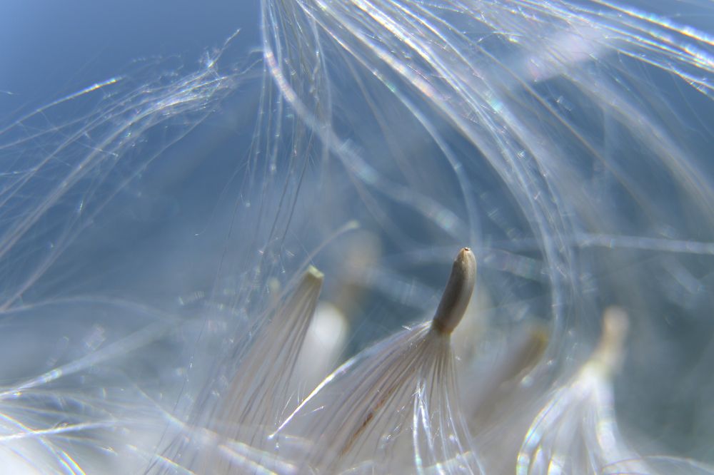 Photograph by Александр Шаварёв