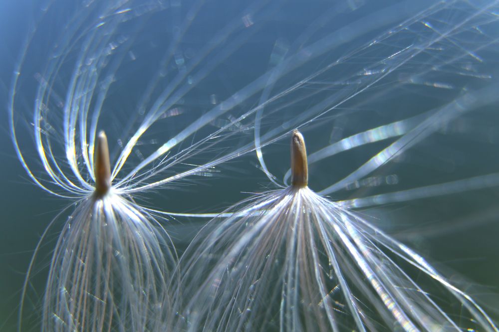 Photograph by Александр Шаварёв