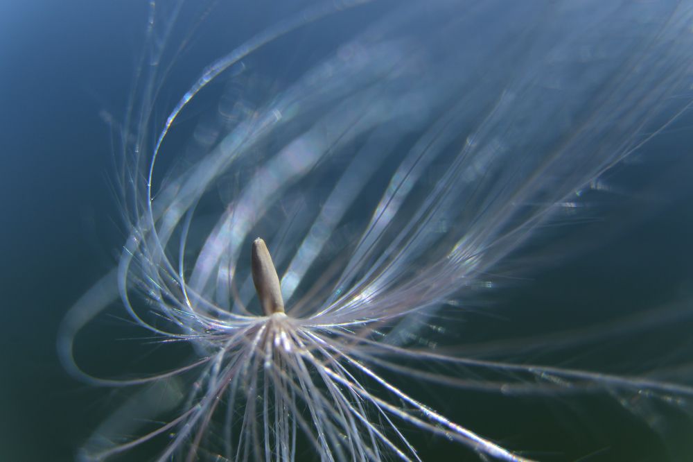 Photograph by Александр Шаварёв