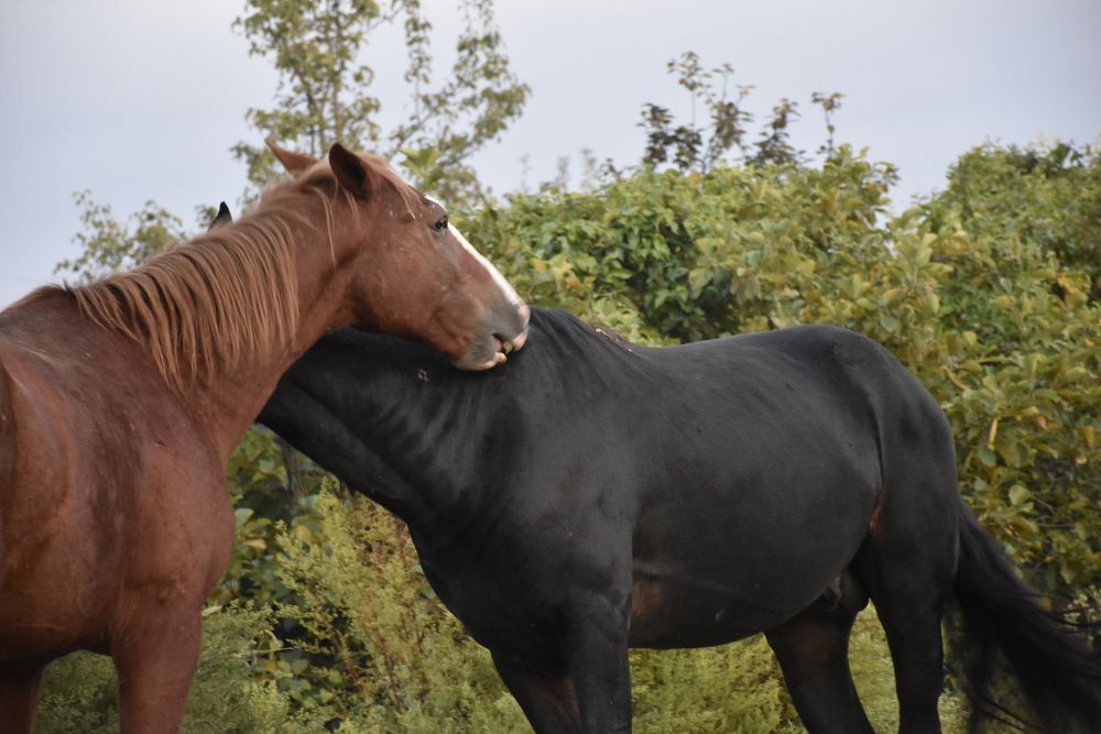 Photograph by Виктория Ткачева