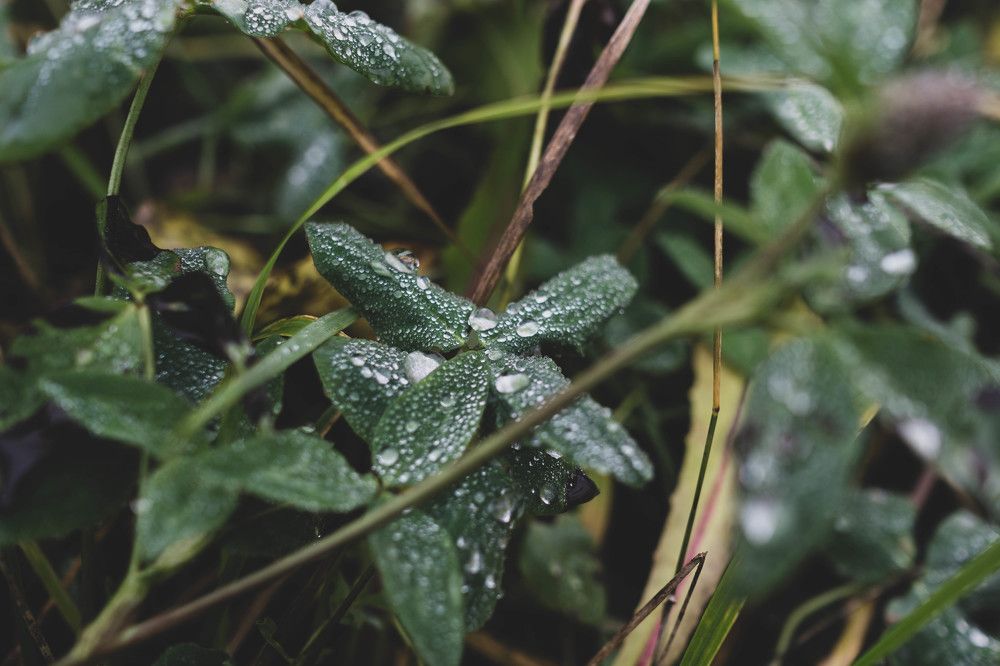 Photograph by Александр Ходакин