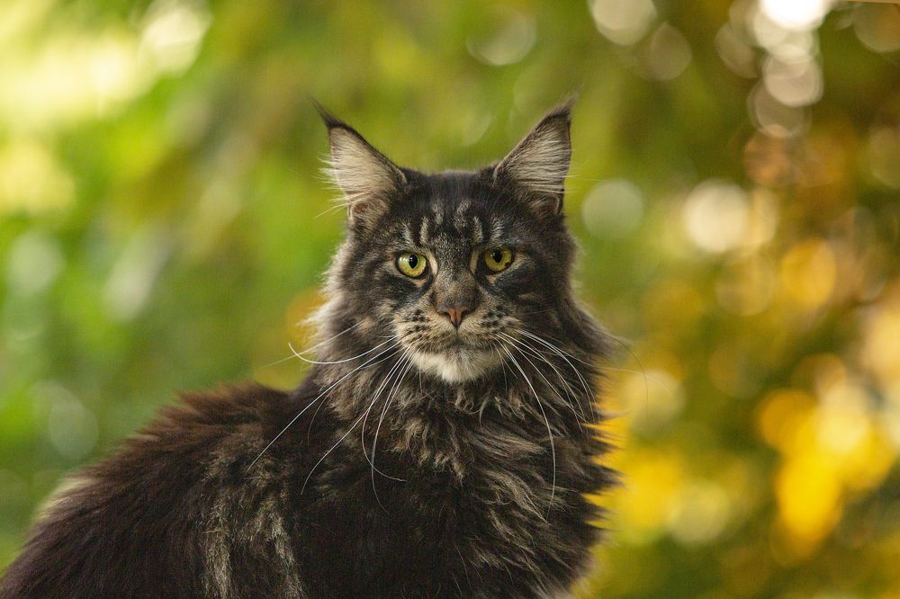 Photograph by Екатерина Аматуни