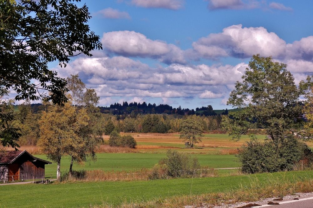 Photograph by backareva irina