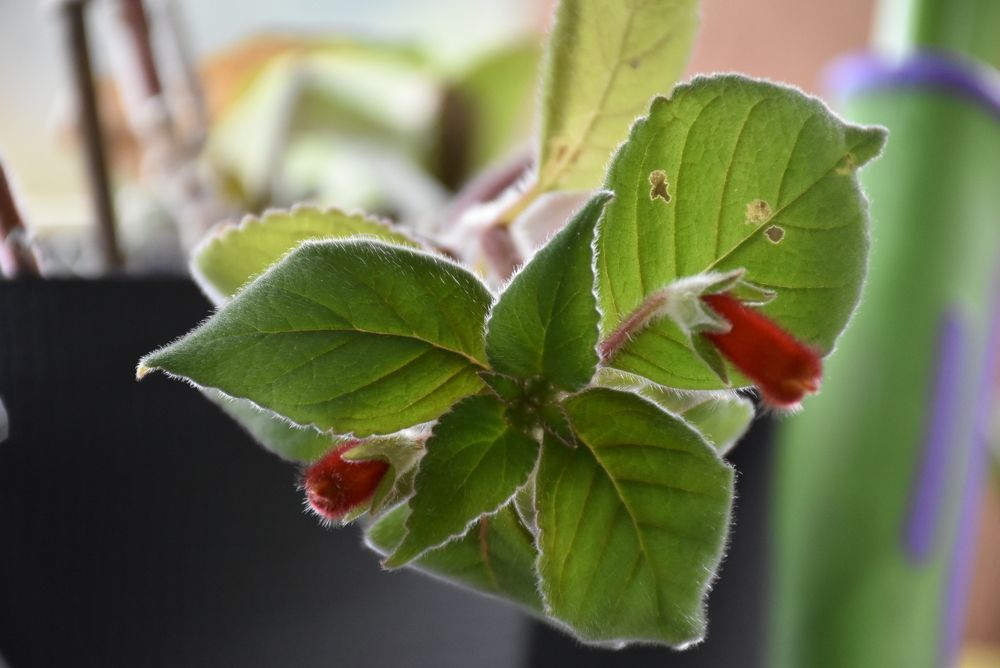 Photograph by Виктория Ткачева