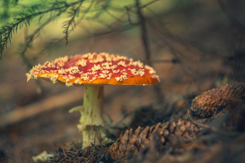Photograph by Александр Жариков