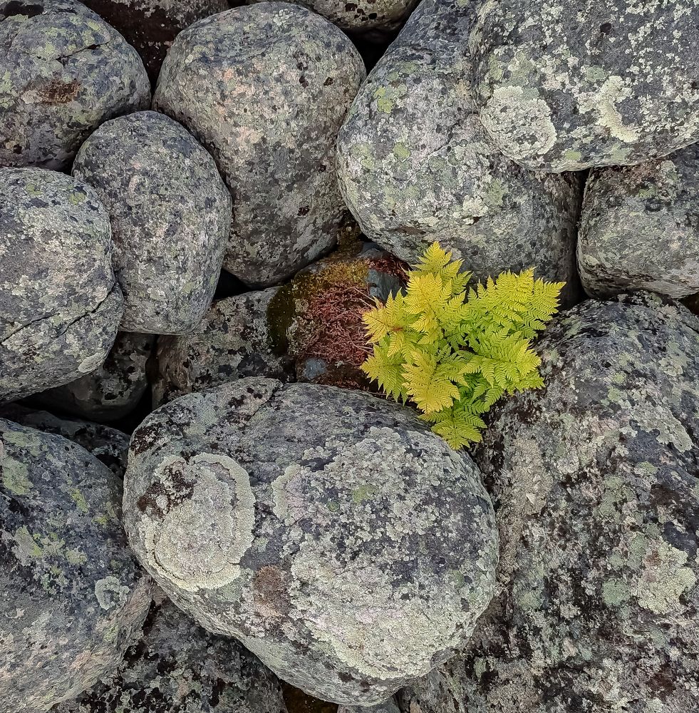 Фотография автора Александр Довганюк