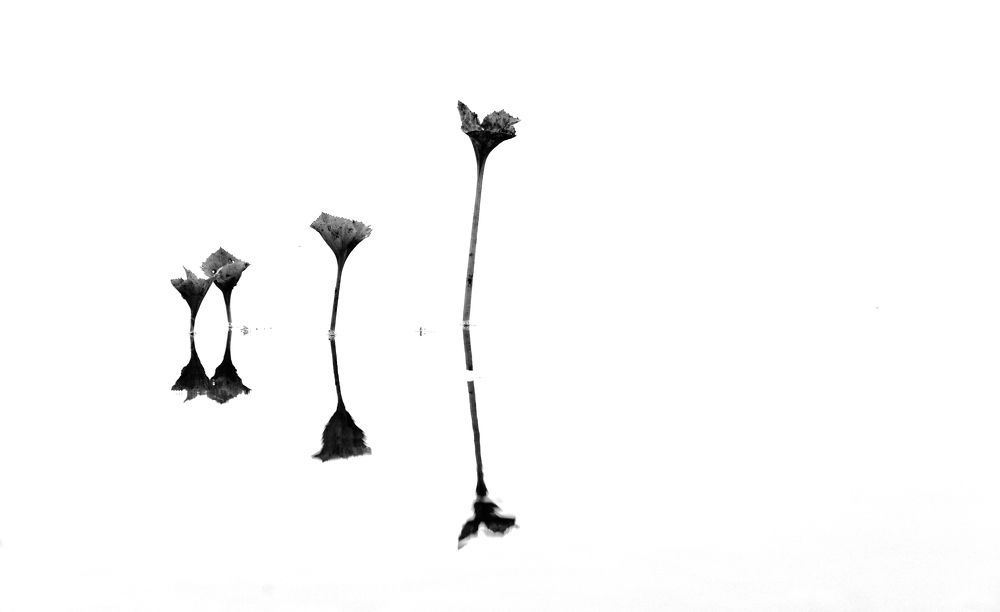 Фотография автора Александр Довганюк