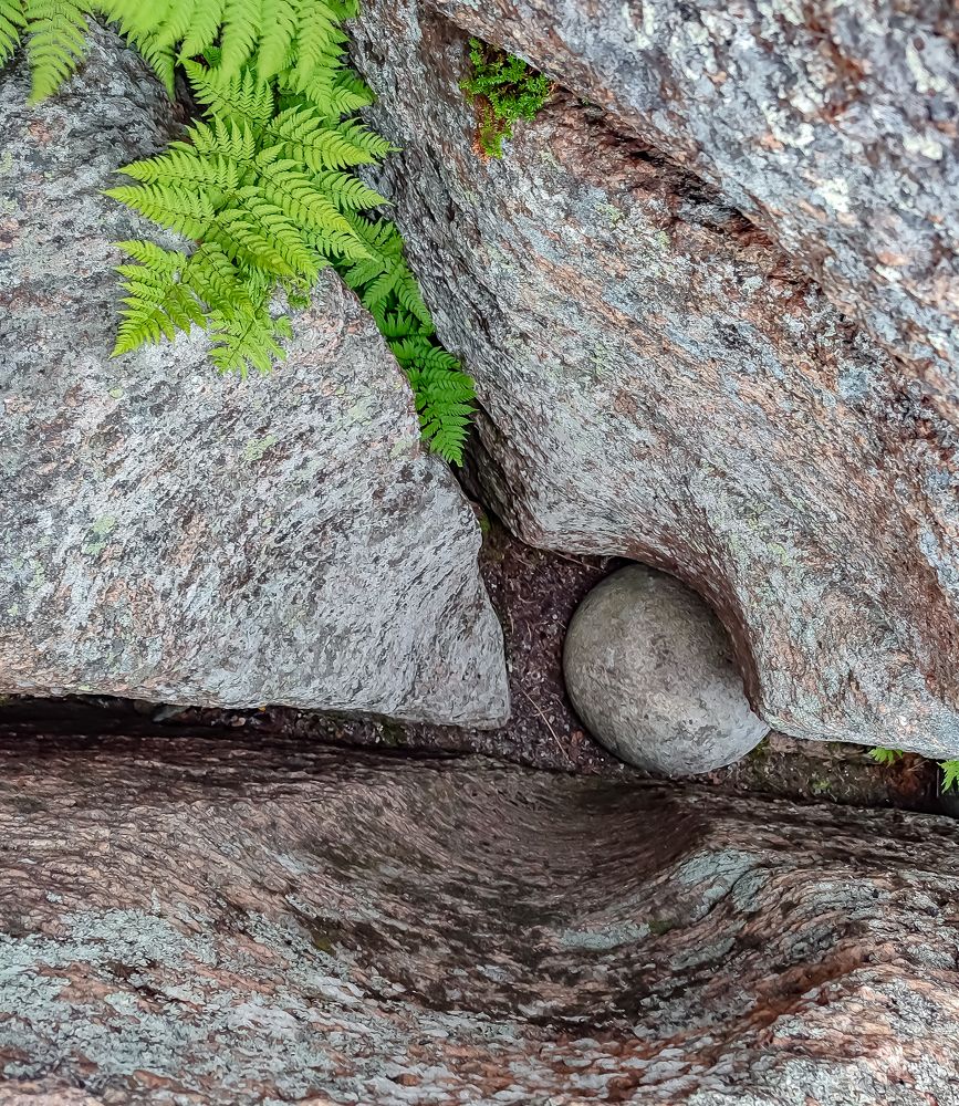 Фотография автора Александр Довганюк