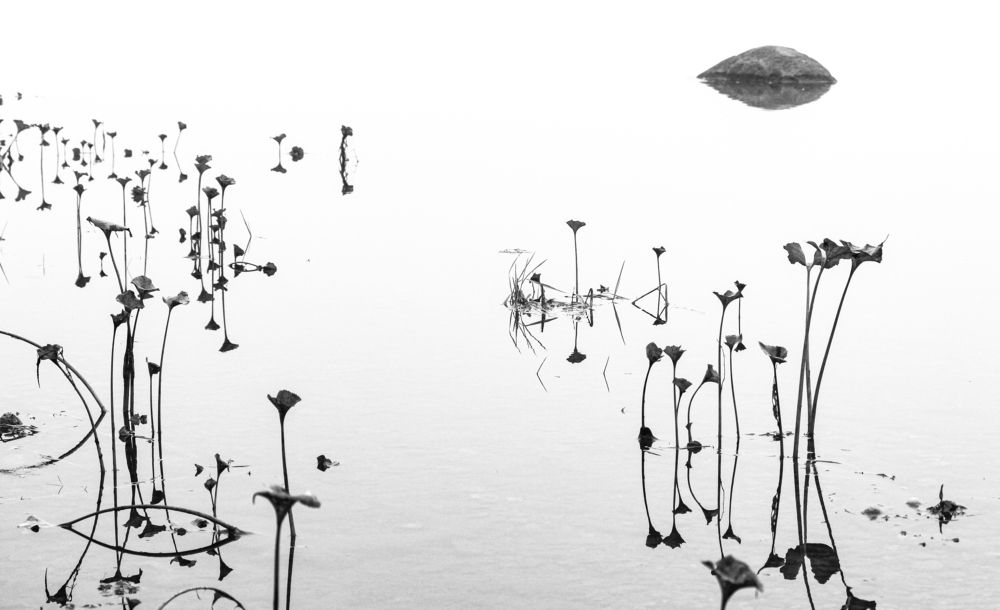 Photograph by Александр Довганюк