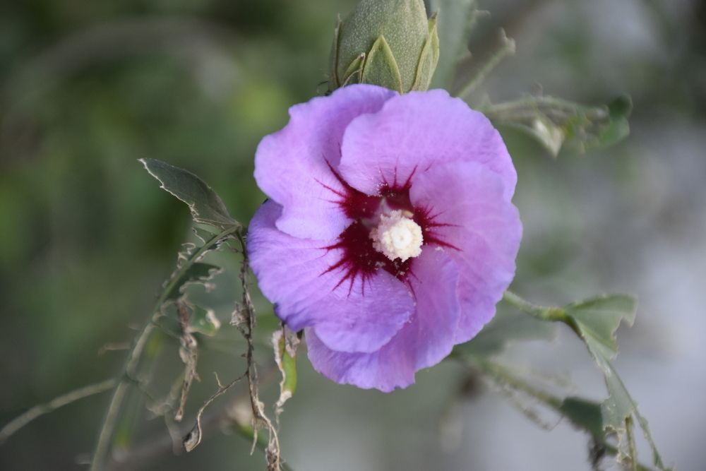 Photograph by Виктория Ткачева