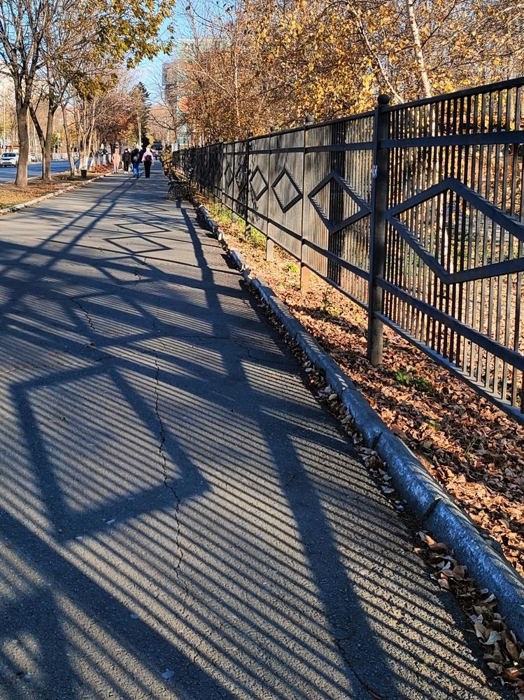 Photograph by Елена Егорова