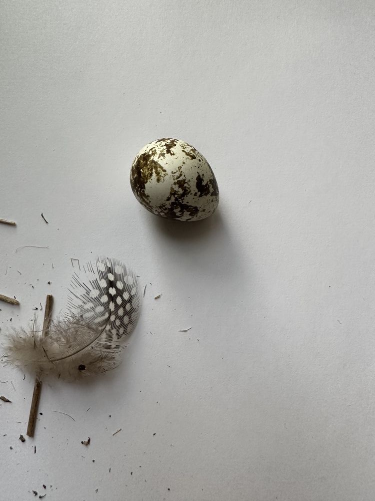 Photograph by Мария Алейникова