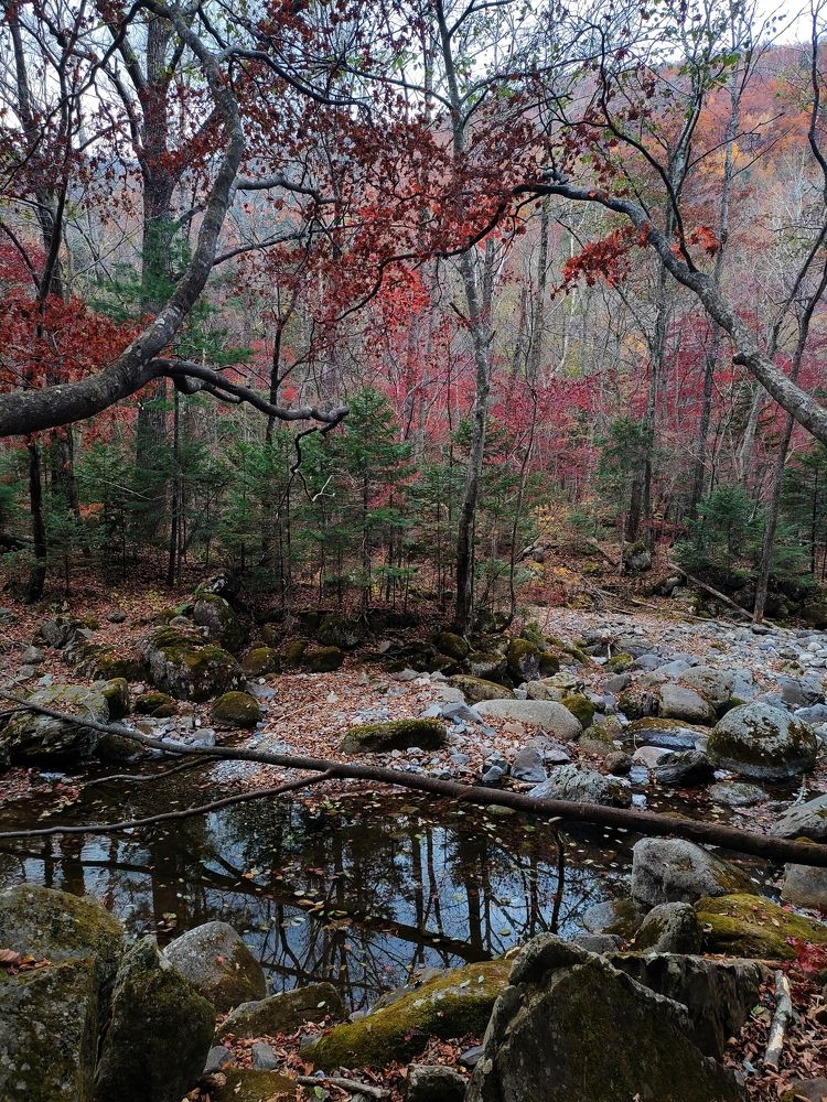 Photograph by Елена Егорова