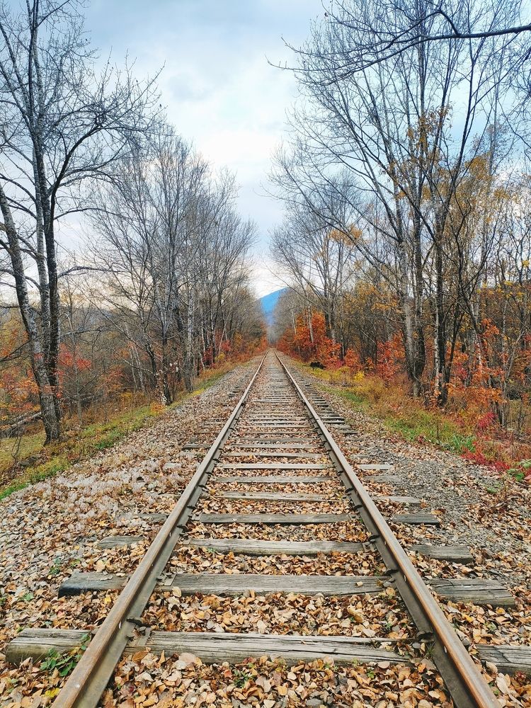 Photograph by Елена Егорова