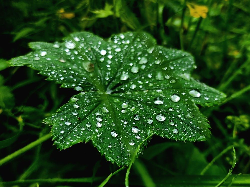 Photograph by Анна